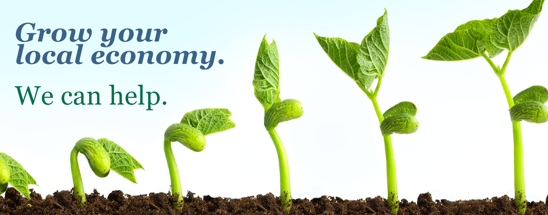Grow Your Local Economy. We can help.